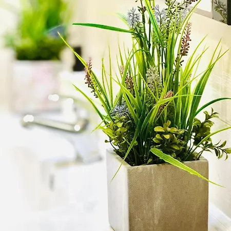 T4 Lägenhet Albufeira